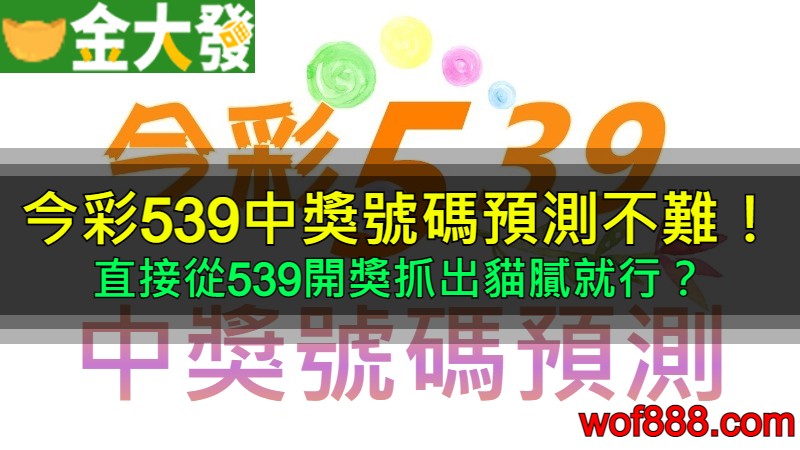 今彩539中獎號碼預測不難！直接從539開獎抓出貓膩就行？